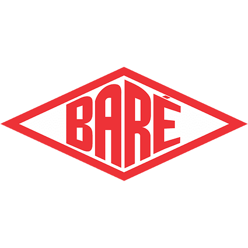 Escudo do Bare
